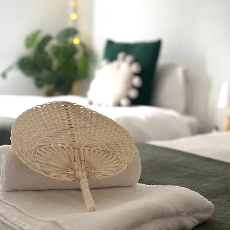 Marukichan, En El Centro De Vigo