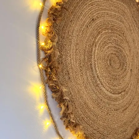 Marukichan, En El Centro De Vigo