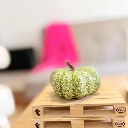 Marukichan, En El Centro De Apartman Vigo