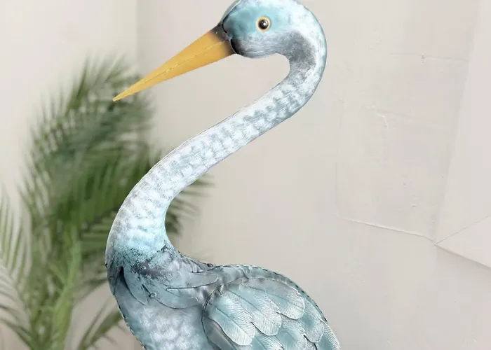 Marukichan, En El Centro De Apartament