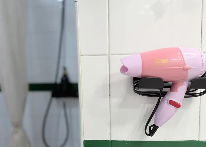 Marukichan, En El Centro De Apartament